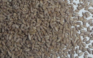 Produkte Aeschlimann Muehle